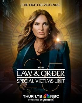 法律与秩序：特殊受害者第二十五季高清在线观看